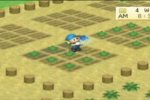 Harvest Moon arriva su PSP - Notizia