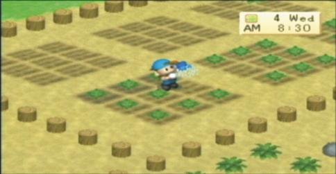 Harvest Moon: Boy & Girl