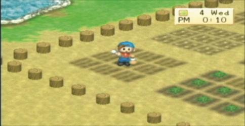 Harvest Moon: Boy & Girl