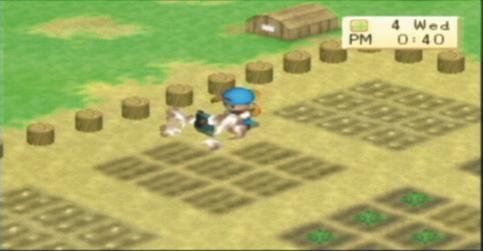 Harvest Moon: Boy & Girl