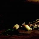 Deadly Creatures filmato #1