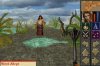 The Quest