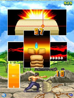 Kung Fu Master Class