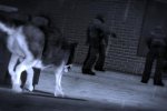 Il nostro migliore amico... è il loro incubo! - Provato