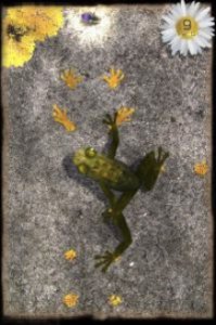 Ancient Frog