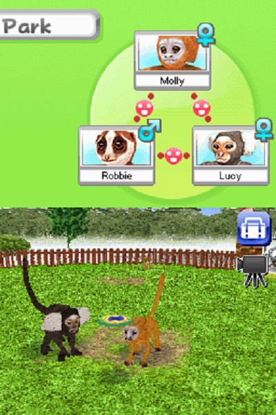 Petz: My Monkey Family