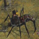 Sacred 2: Fallen Angel filmato #24