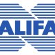 E' Halifax il nuovo distributore Sega in Italia