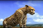 Afrika disponibile da ora in US - Notizia