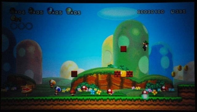 New Super Mario Bros. Wii