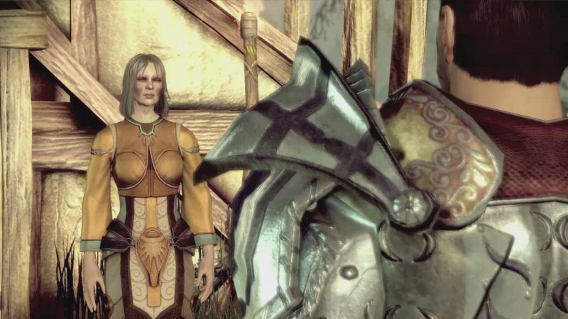 I bonus della Collectors Edition di Dragon Age: Origins e i DLC per i neo-acquirenti I bonus della Collectors Edition di Dragon Age: Origins e i DLC per i neo-acquirenti