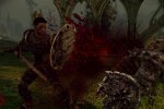 Ancora un personaggio di Dragon Age: Origins - Notizia