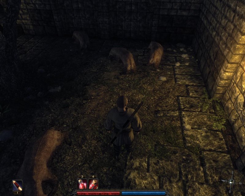 Immagine di Risen per Xbox 360