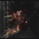 Resident Evil: The Darkside Chronicles - Reliving Nightmare Trailer