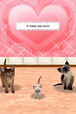 Petz: My Kitten Family