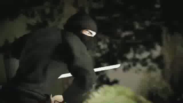 La soluzione di Deadliest Warrior La soluzione di Deadliest Warrior