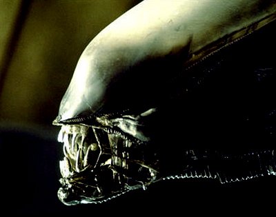 Aliens Vs Predator - Recensione - PC - 74620 - Multiplayer.it