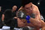 Nuove immagini da UFC 2010 - Notizia