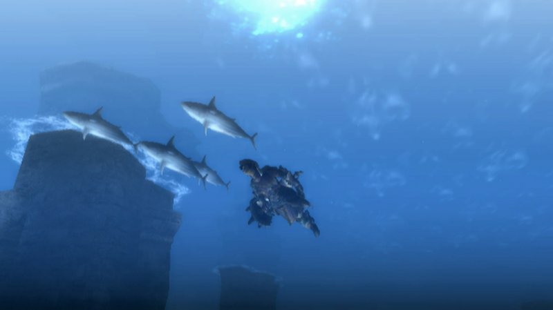 Immagine di Monster Hunter Tri per Nintendo Wii