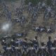 Napoleon: Total War - Trailer italiano