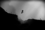 Limbo anche su App Store dal 3 luglio - Notizia