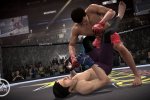 Mixed Martial Arts - Provato