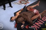 EA conferma un seguito per MMA - Notizia