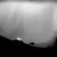 Limbo è gratuito su Steam