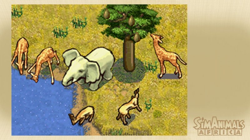 SimAnimals Africa