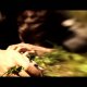 Alan Wake - Trailer dal vivo