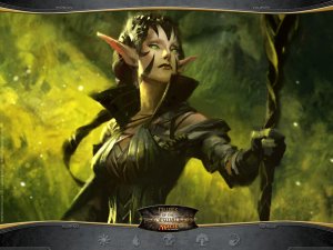 Magic The Gathering - Duels of the Planeswalkers per PC Windows
