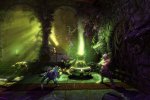 Trine 2 - Trailer Alluring Adventure - Notizia