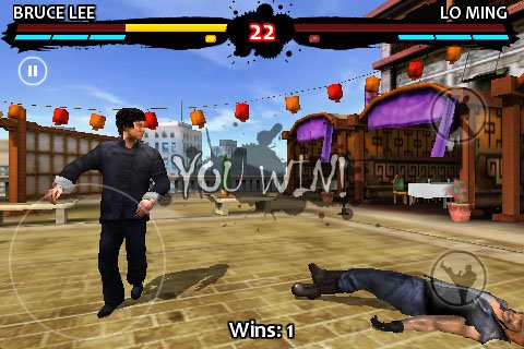 Bruce Lee Dragon Warrior