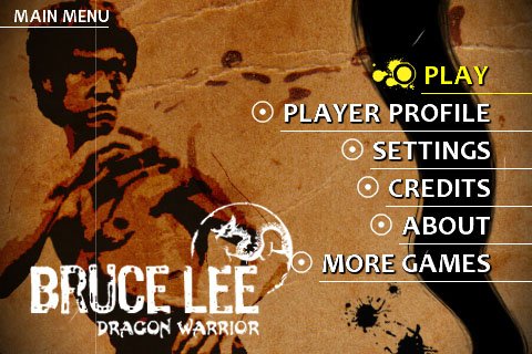 Bruce Lee Dragon Warrior