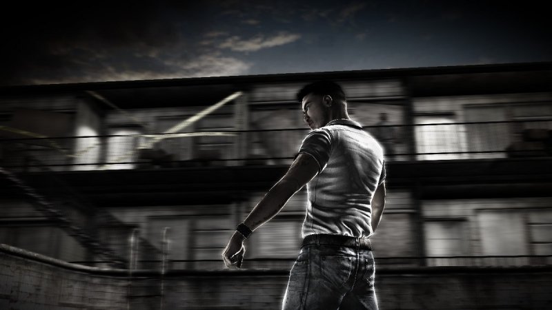 The Fight: Senza Regole