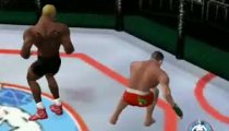 Ultimate Fighting Championship - Gameplay