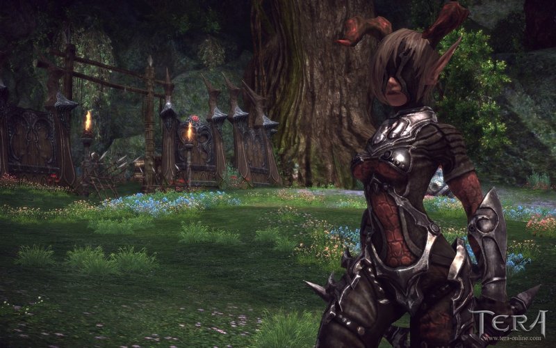 Pioggia di immagini per T.E.R.A.