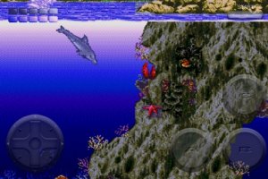 Ecco The Dolphin