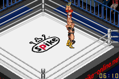 Fire Pro Wrestling