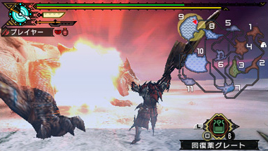 Monster Hunter Freedom 3