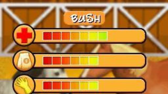 Giulia Passione Clinica Veterinaria