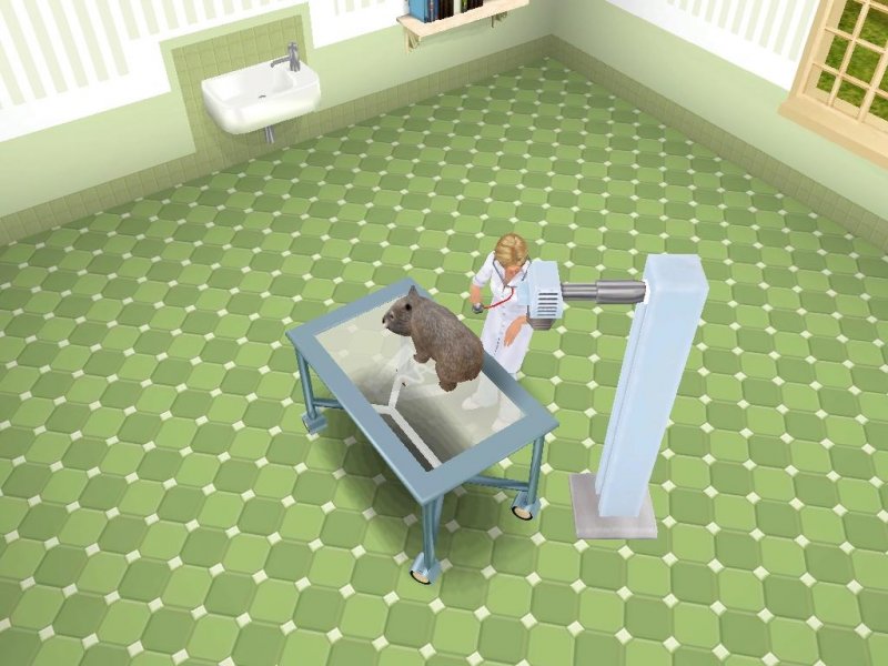 Giulia Passione Veterinaria - Australia