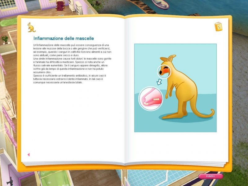 Giulia Passione Veterinaria - Australia