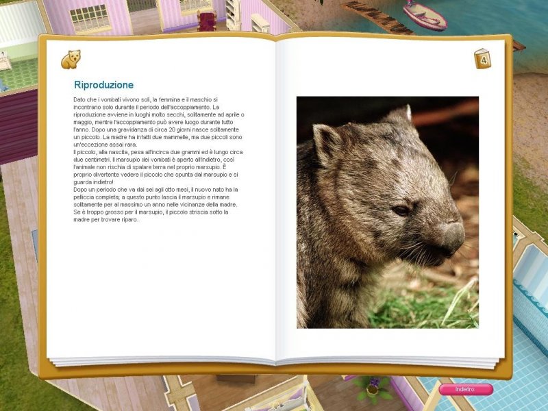 Giulia Passione Veterinaria - Australia