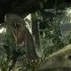 Metal Gear Solid: Snake Eater 3D - Trailer di debutto