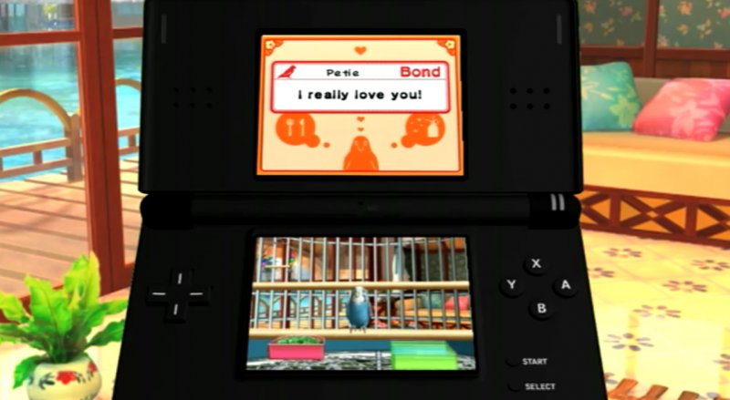 Il Mio Cucciolo: Cocoriti Colorati