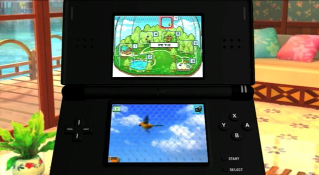 Il Mio Cucciolo: Cocoriti Colorati