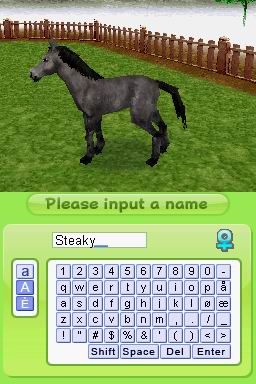 Petz: My Horse Family
