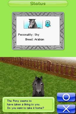 Petz: My Horse Family