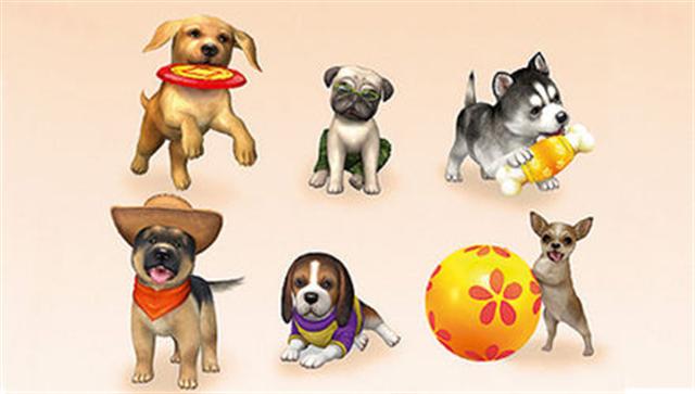 Petz: My Puppy Family